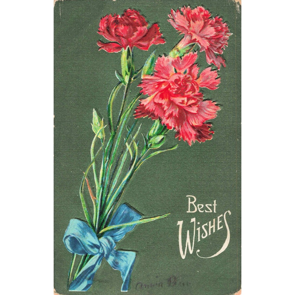 Vintage 1909 Red Carnations Embossed Postcard Best Wishes Germany Printed VG- - Picture 1 of 2